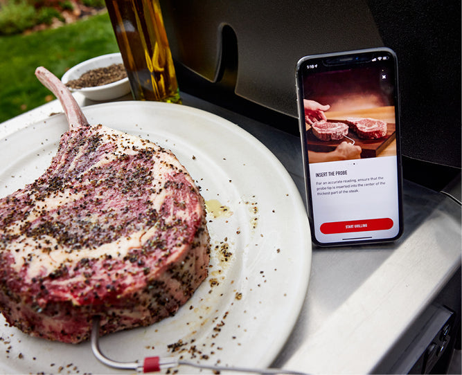 Weber Connect Smart Grilling Hub BBQ Thermometer